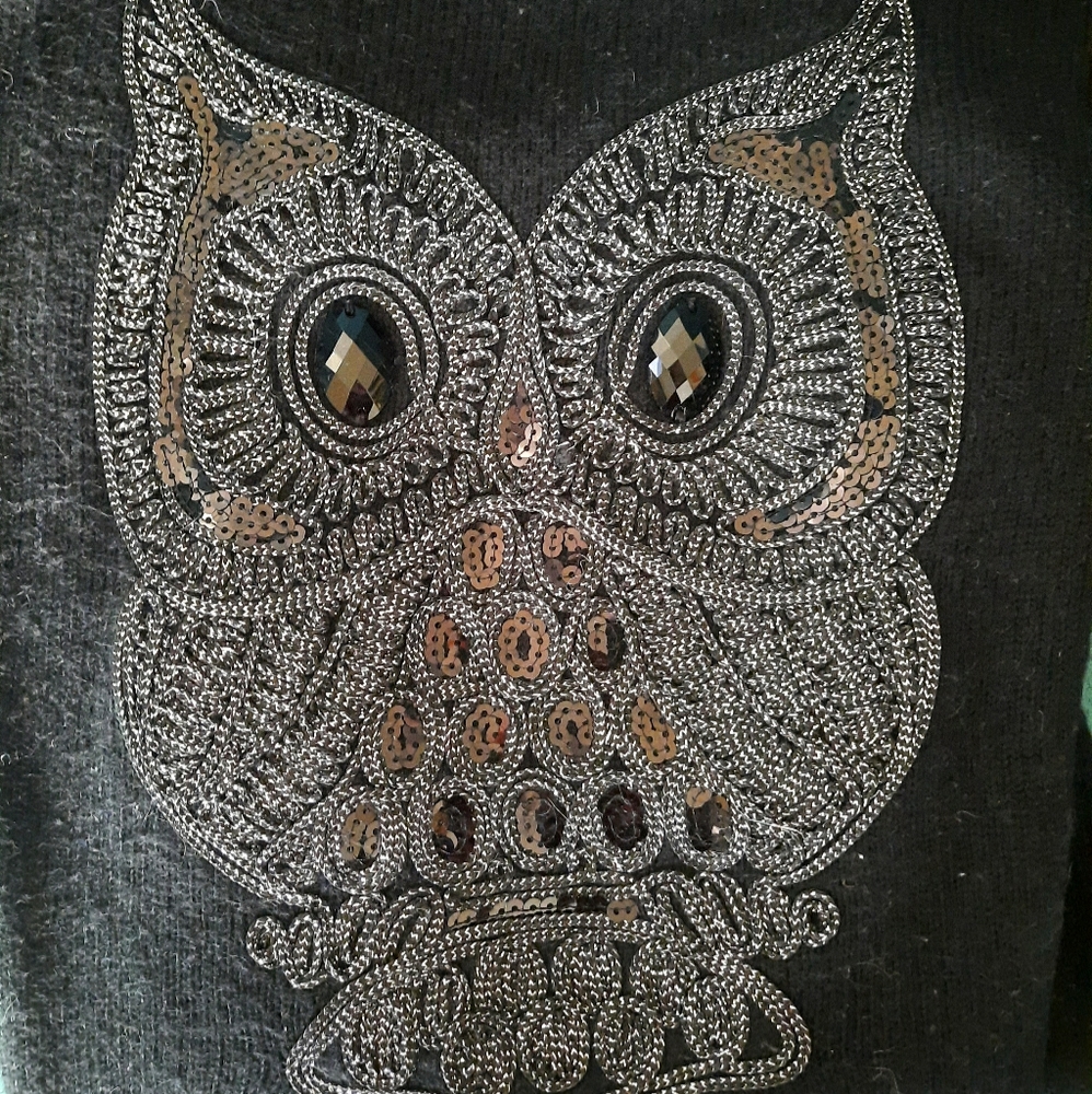 Owl Sequin Sweater